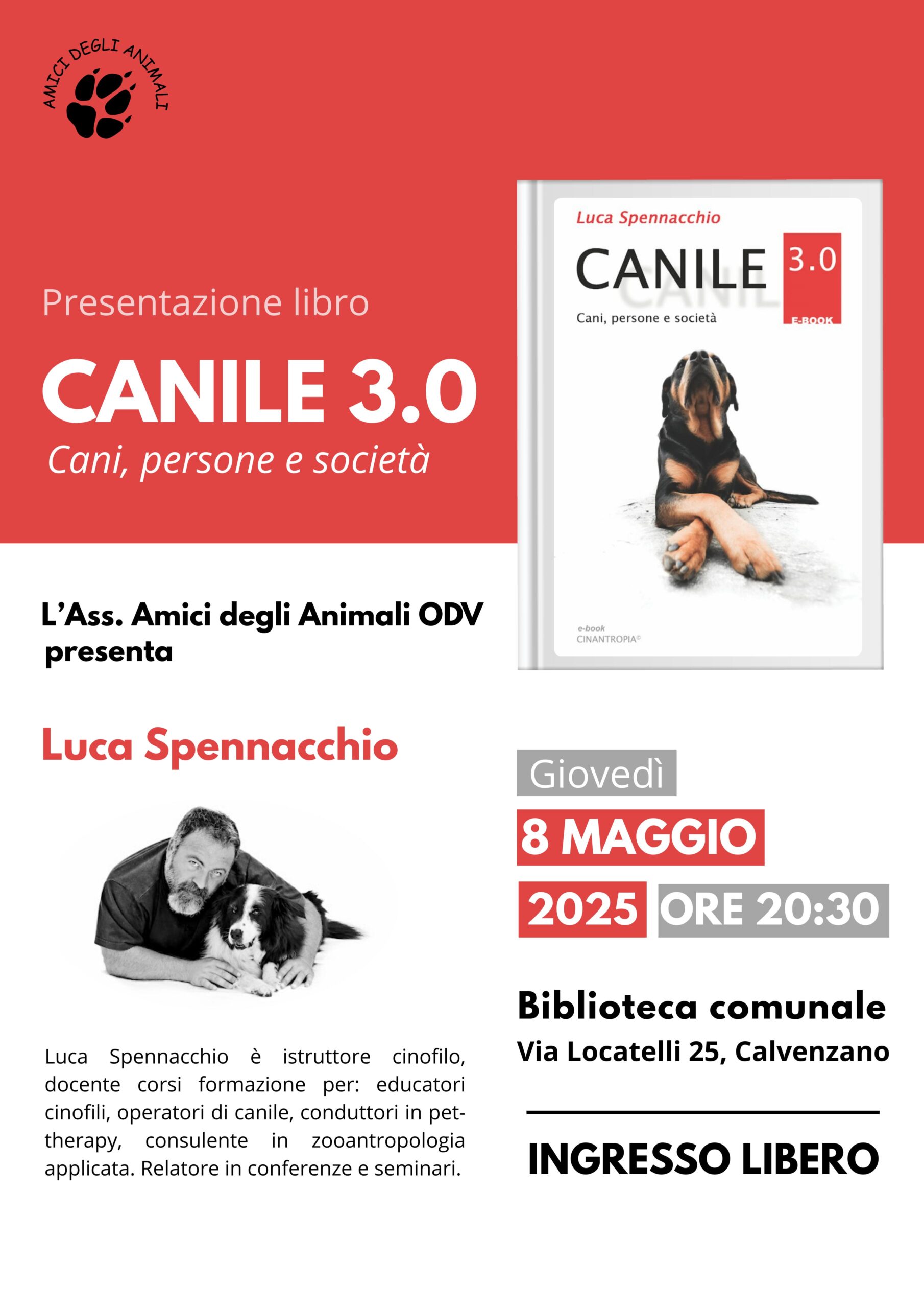 Immagine anteprima