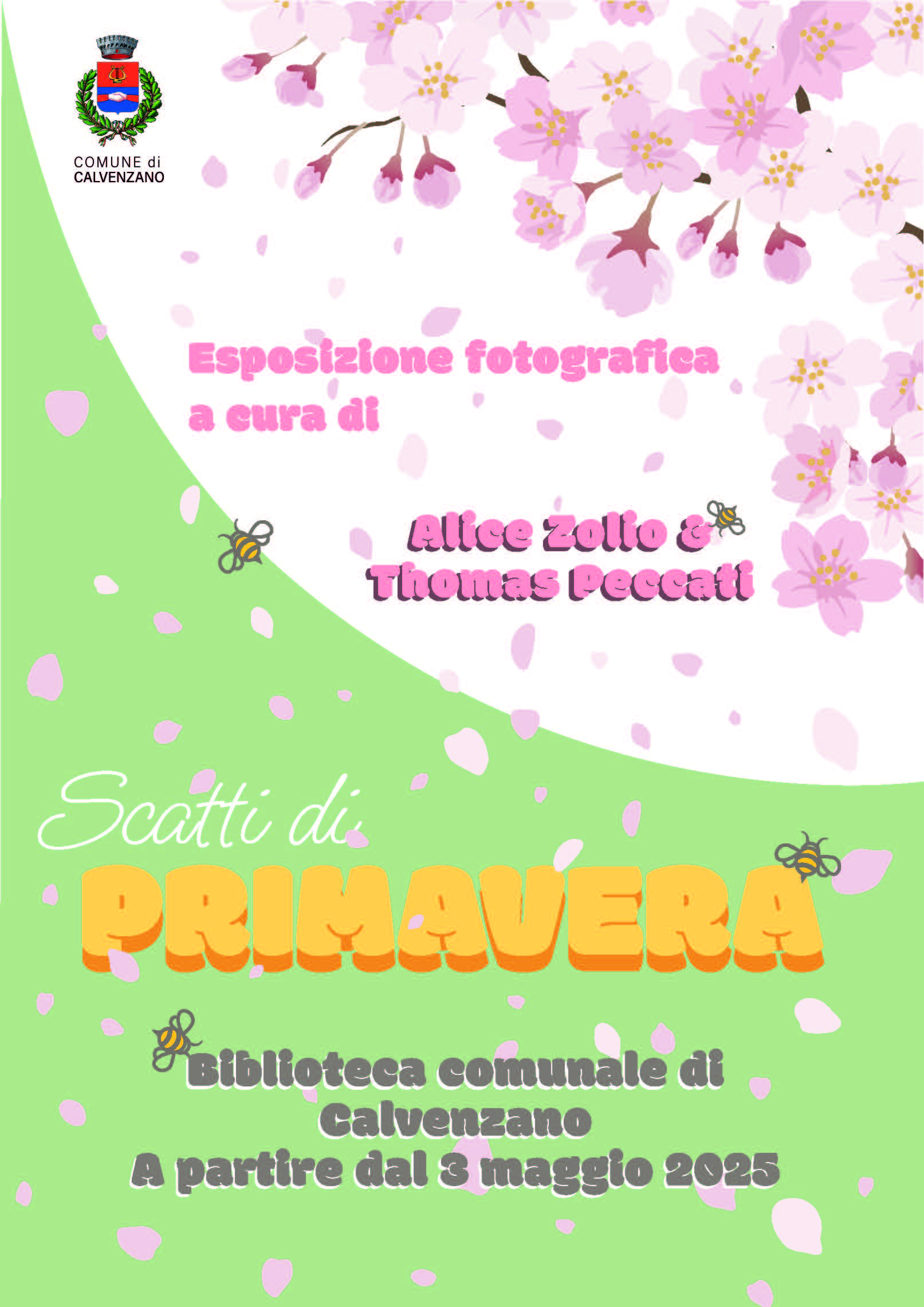 Immagine anteprima