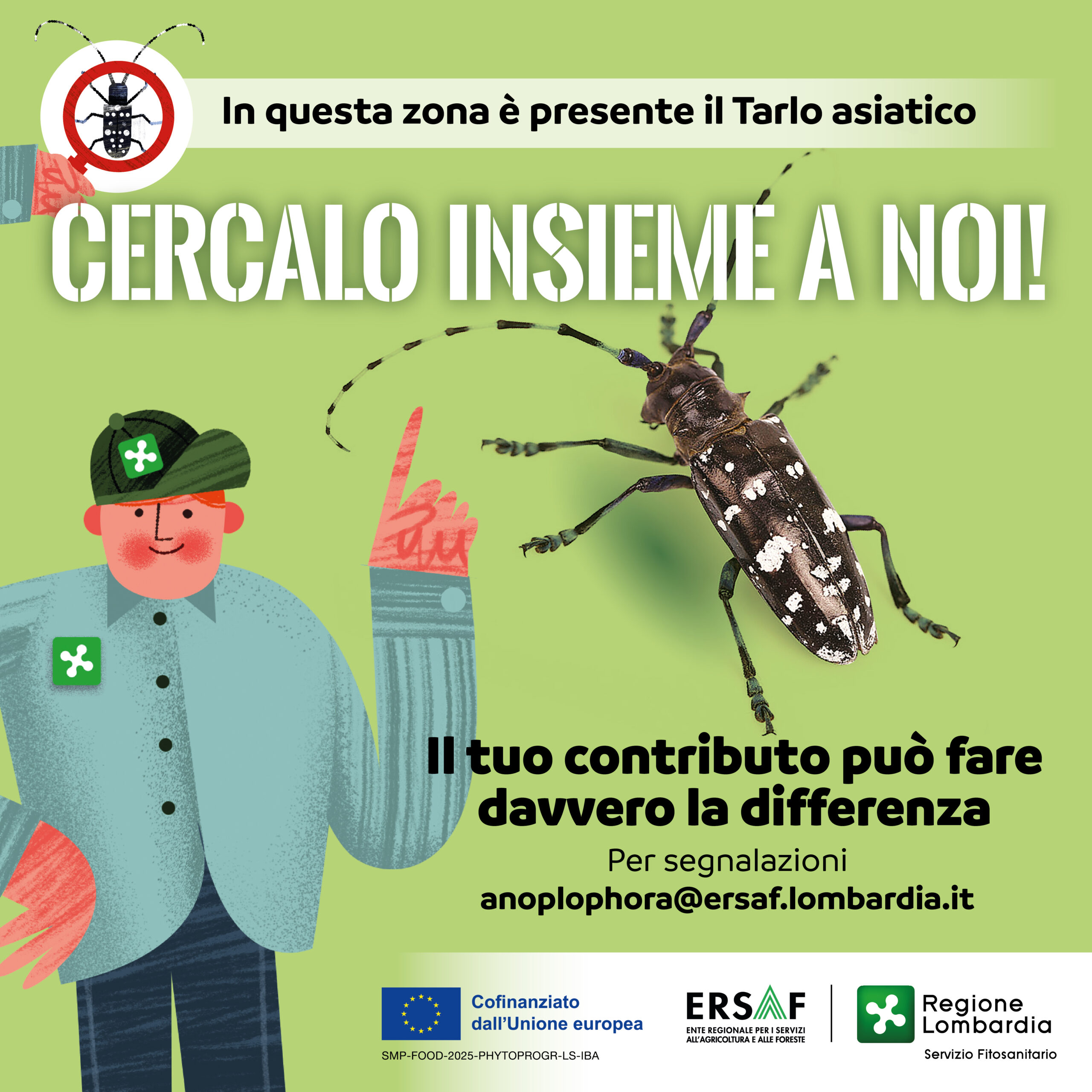 Immagine anteprima