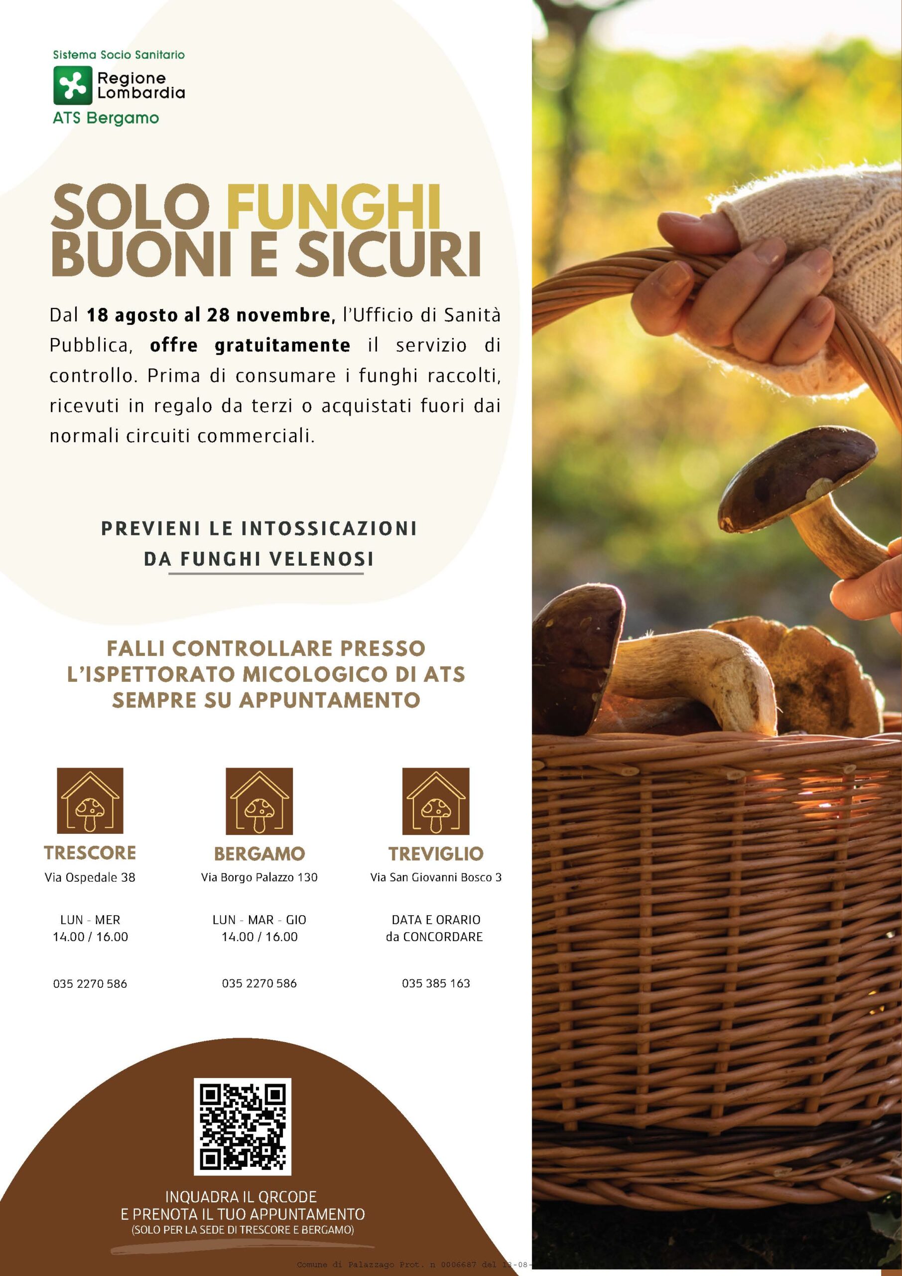Immagine anteprima