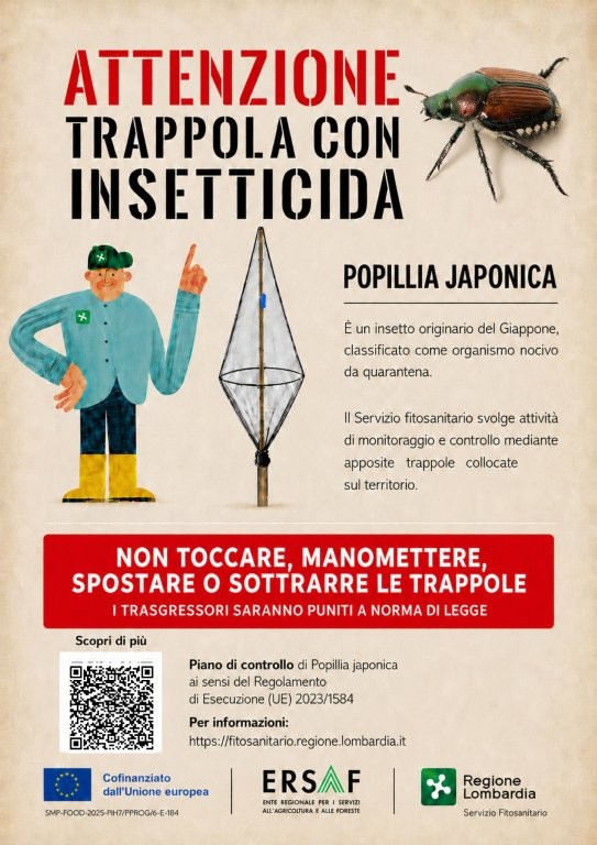 Immagine anteprima