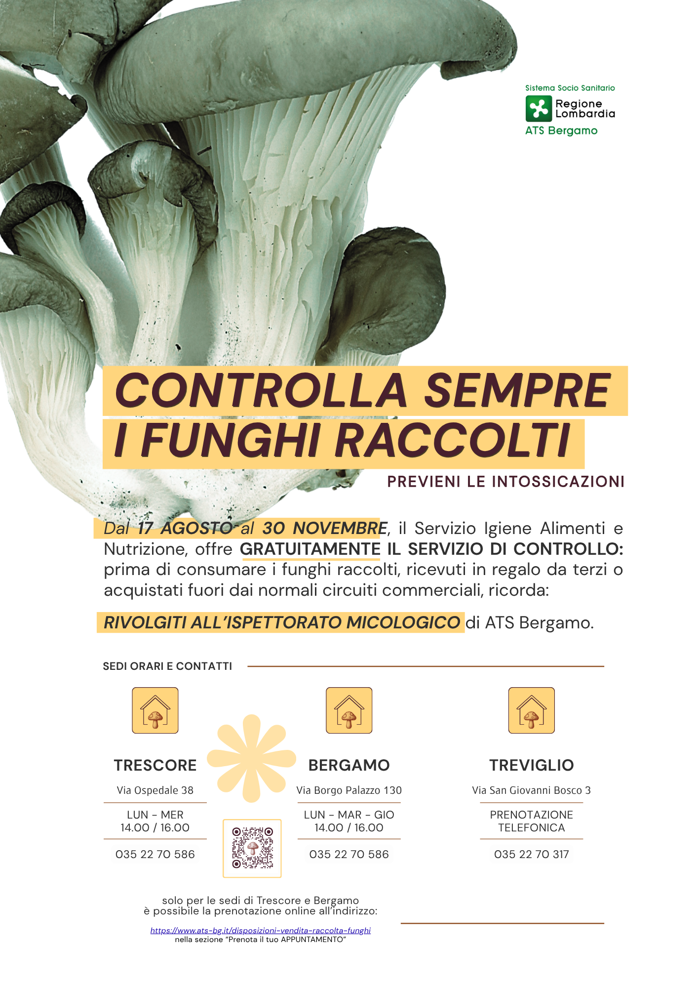 Immagine anteprima